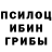 Галлюциногенные грибы Psilocybe Reddit Things