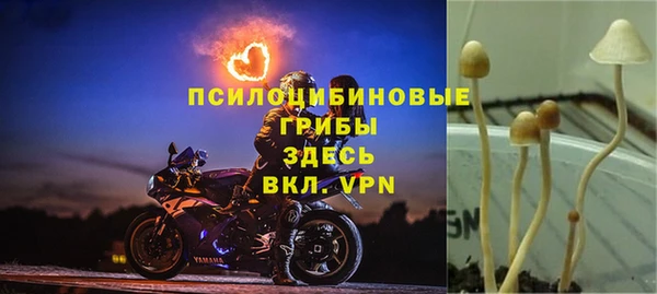 бошки Верея