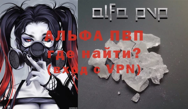 стаф Волосово