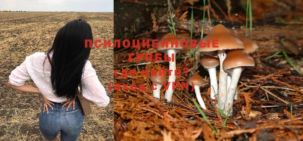 тгк Верхний Тагил