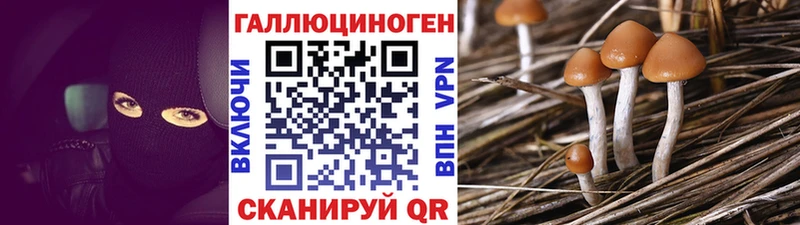Псилоцибиновые грибы ЛСД  дарнет шоп  Орск 