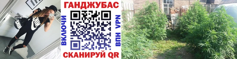 маркетплейс клад  omg рабочий сайт  Каннабис планчик  Орск  продажа наркотиков 